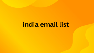 india email list