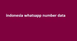 indonesia whatsapp number data