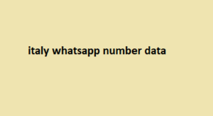 italy whatsapp number data 