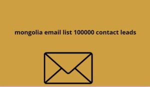 mongolia email list 100000 contact leads